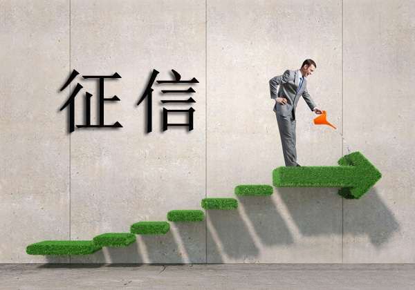 征信查询_个人征信查询征信报告太多_征信受影响