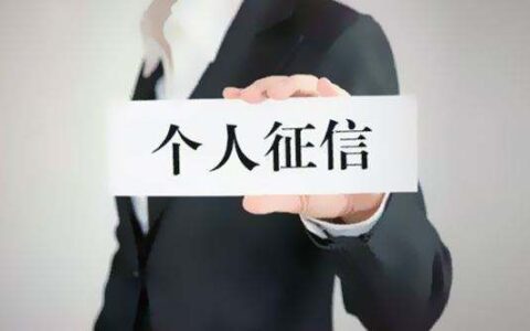 征信查询_个人征信查询征信报告太多_征信受影响