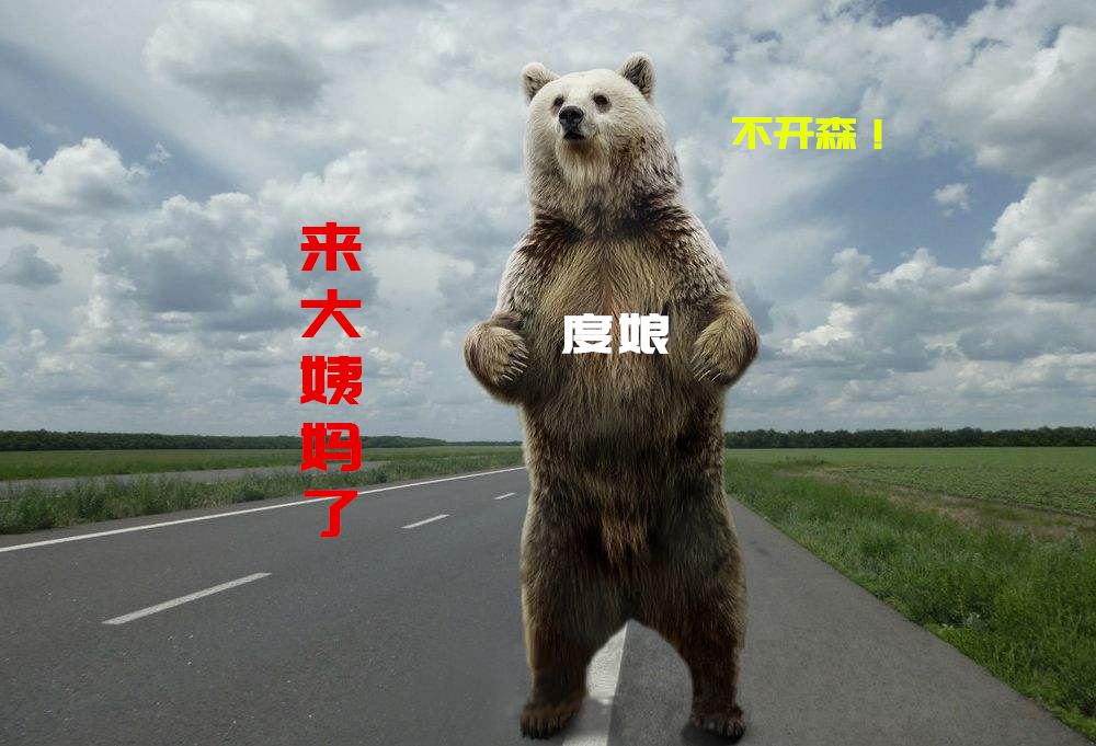 哪个中国哪个网站来大姨妈最频繁，白肚站长社区