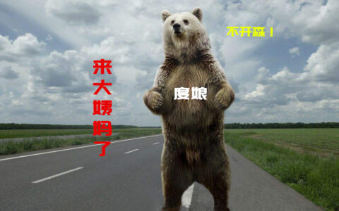 哪个中国哪个网站来大姨妈最频繁，白肚站长社区
