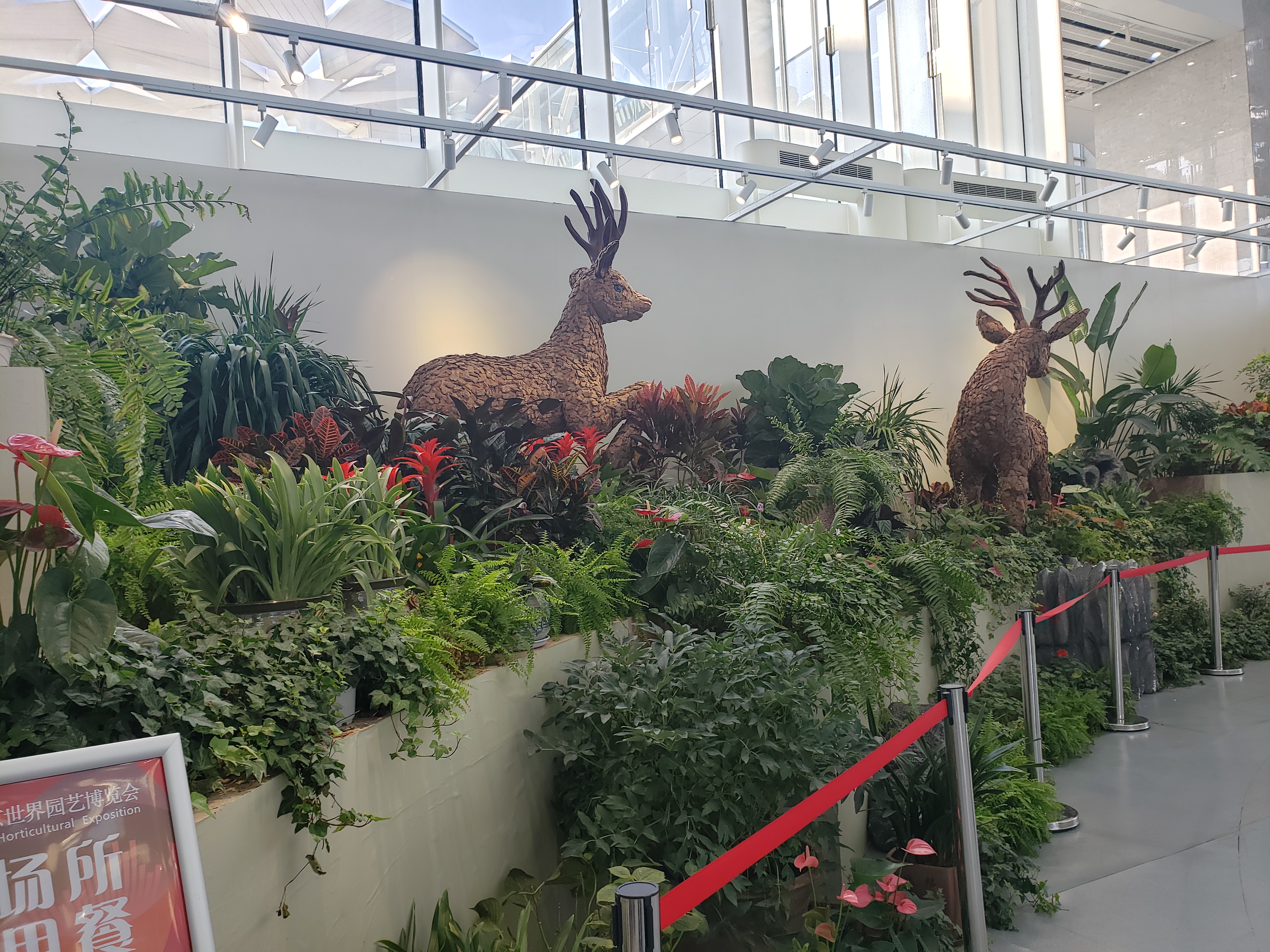 北京世园会攻略，六六只想说去北京世园会的人真多啊