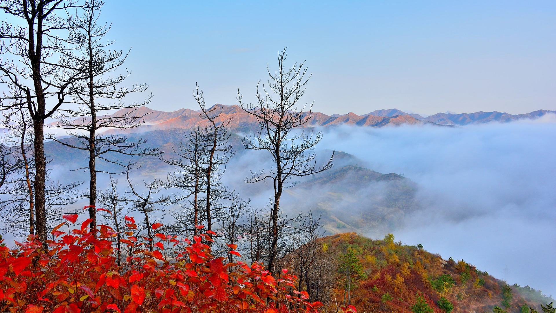 国庆去哪儿玩比较好，好玩的国庆十大旅游景点盘点