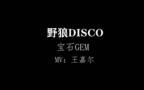 野狼disco丨野狼disco歌词_野狼迪斯科_野狼disco说唱