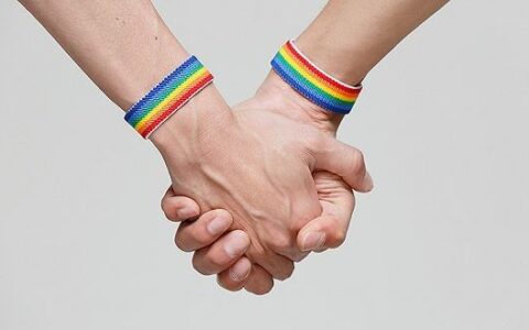 同性婚姻合法化丨居然有超过40万人的支持，宝宝惊呆了