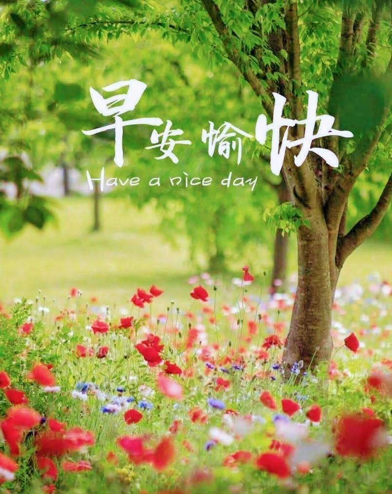 早安语录丨早安正能量简单一句话，早安图片，早安问候语