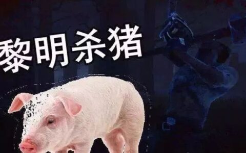 杀猪盘丨40岁离异女遇杀猪盘，被网恋对象骗走9万