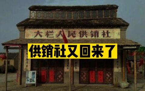 供销社怎么突然火了