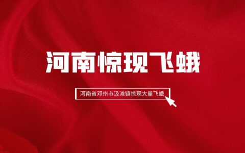 河南惊现飞蛾丨河南省邓州市汲滩镇惊现大量飞蛾