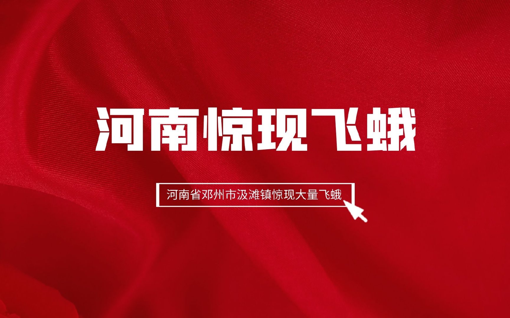 河南惊现飞蛾丨河南省邓州市汲滩镇惊现大量飞蛾 河南惊现飞蛾丨河南省邓州市汲滩镇惊现大量飞蛾