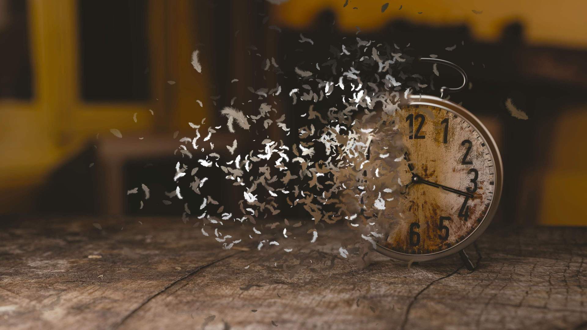 男人的洞穴时间是什么？冷知识