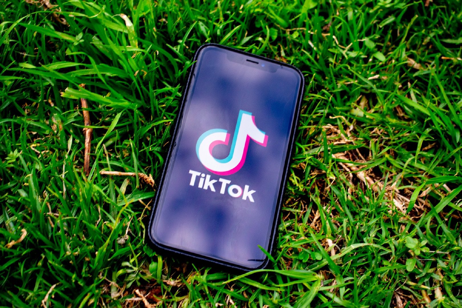 TikTok – Make Your Day 网页版入口