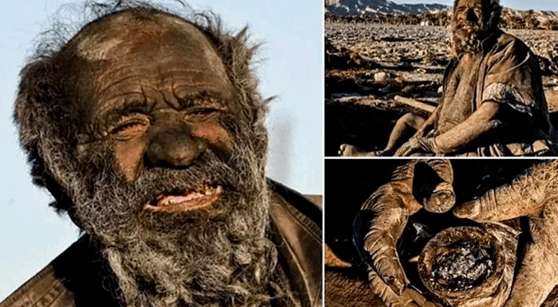 这两个热门搜索，有点磁力，很吸引我