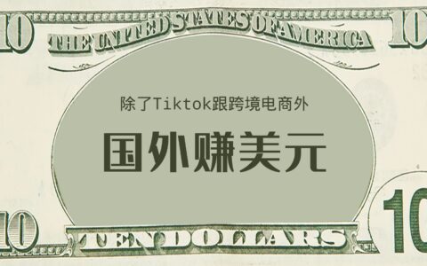 除了Tiktok跟跨境电商，还有哪些赚美元项目