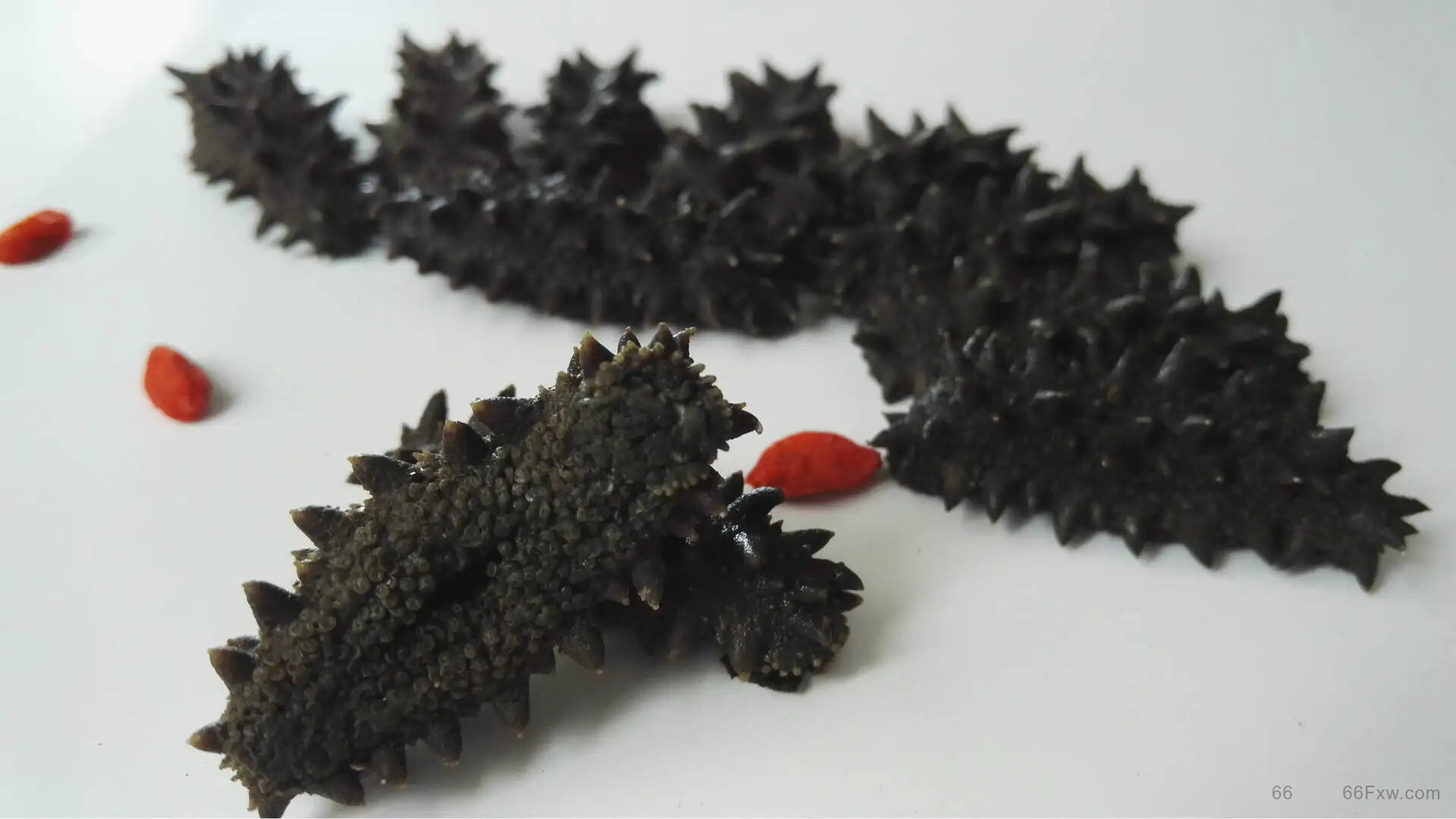 海参的挑选怎么挑，好的海参如何辨别