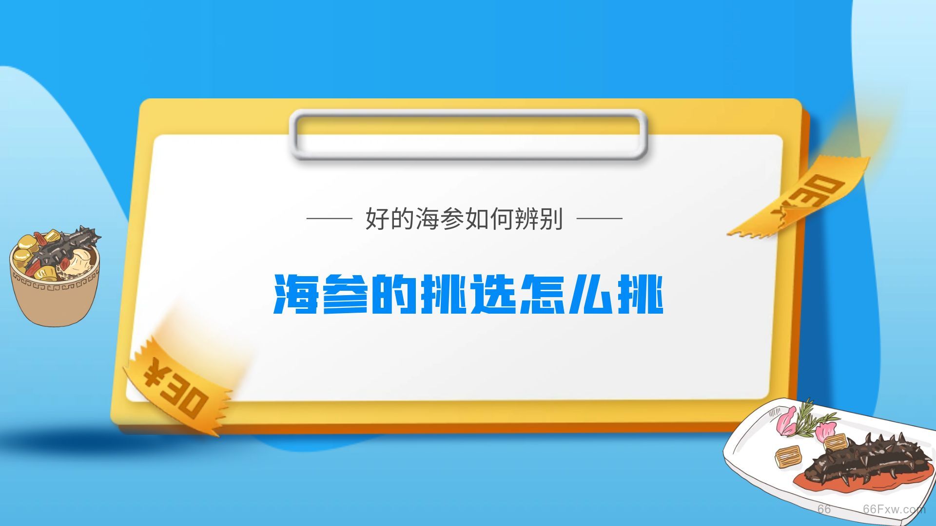 海参的挑选怎么挑，好的海参如何辨别