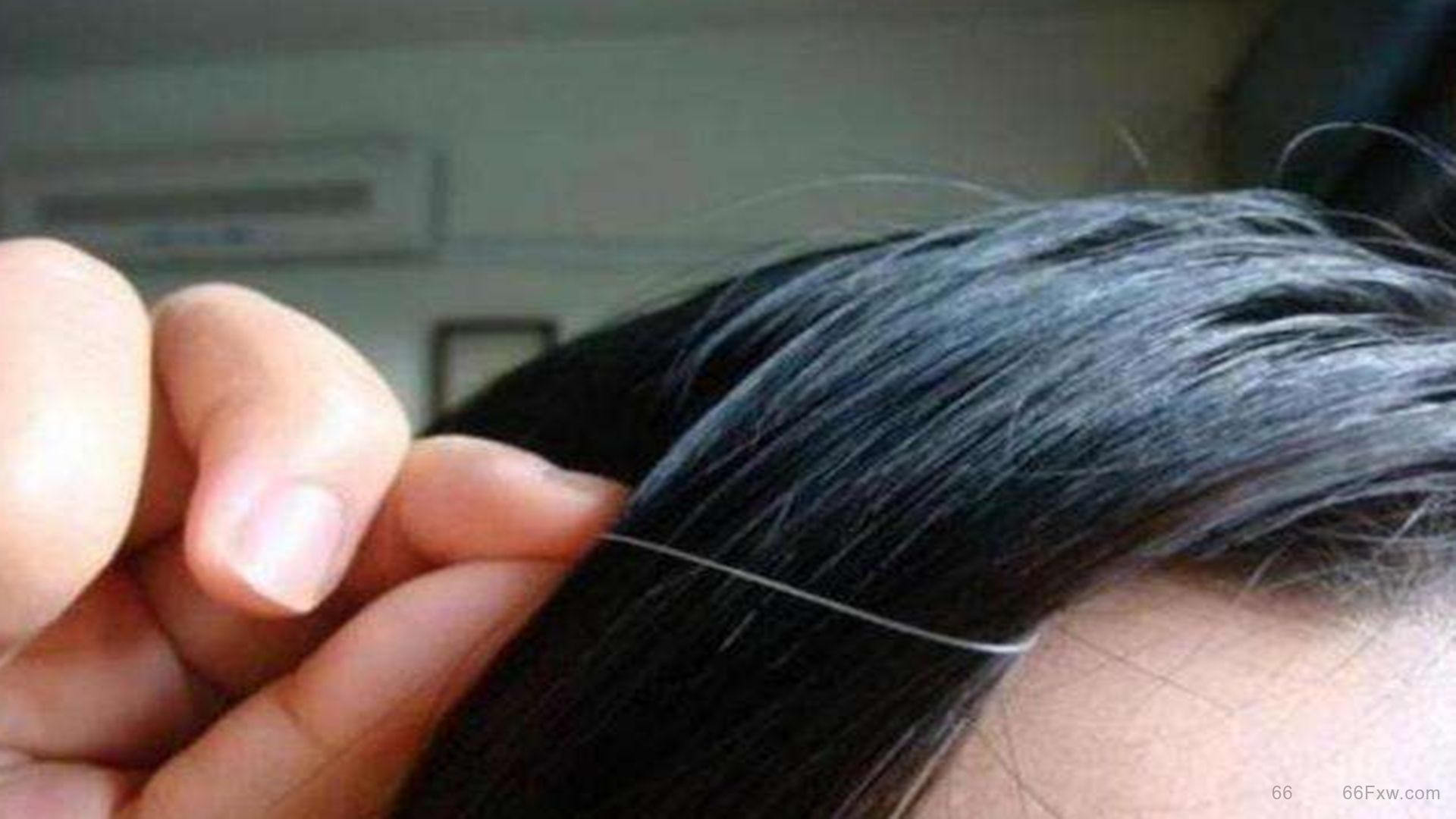 白头发是不是越拔越多，白头发怎么调理变黑发