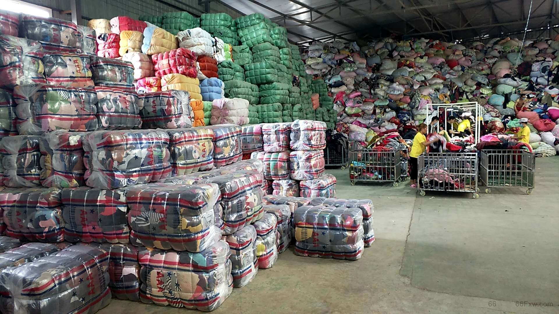 大学生毕业收破烂,可回收物蕴含财富密码 大学生毕业收破烂,可回收物蕴含财富密码