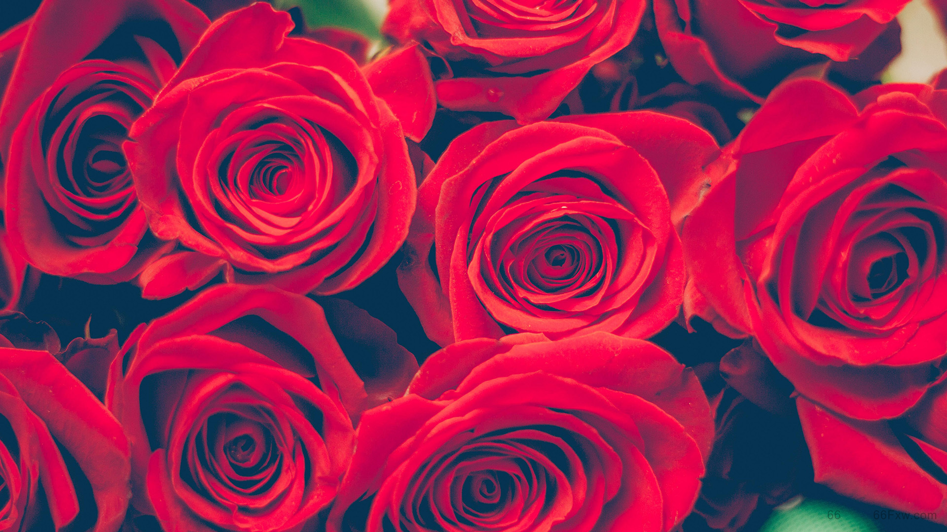 生日祝福语丨生日文案祝自己