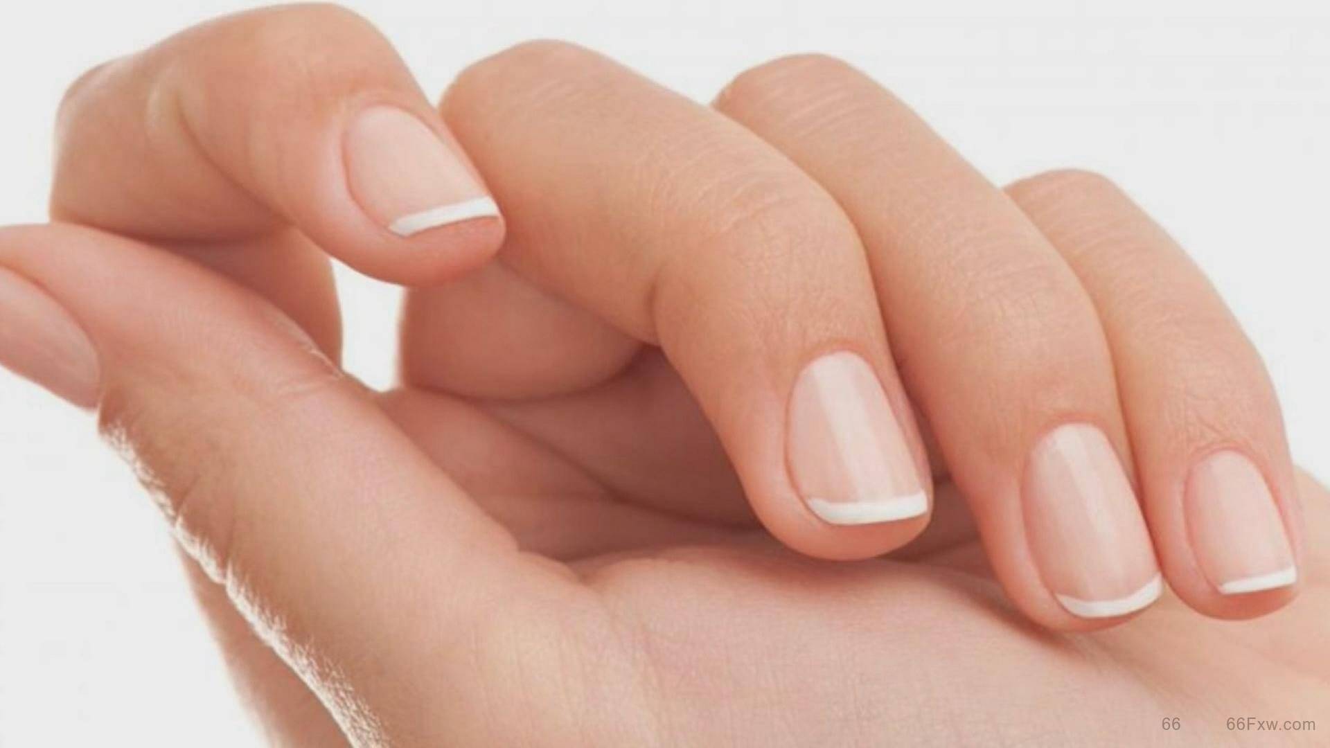 手指竖纹预示身体什么，指甲没有月牙代表什么