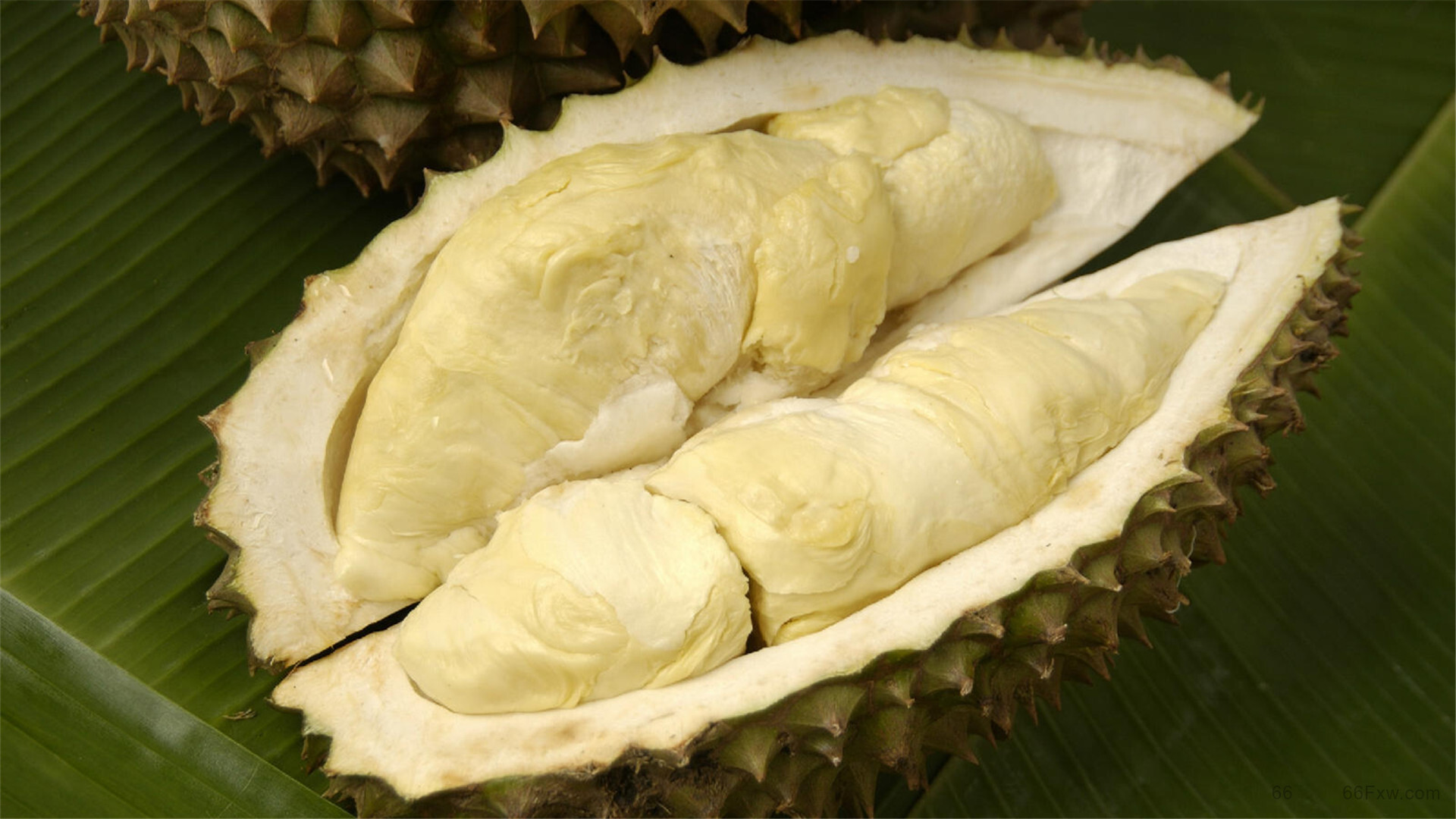 什么品种的榴莲好吃，榴莲的功效与作用