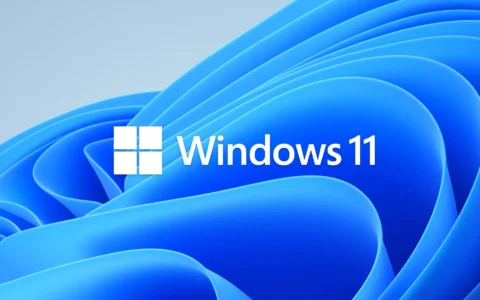 Win11鼠标设置在哪里？Win11鼠标灵敏度设置