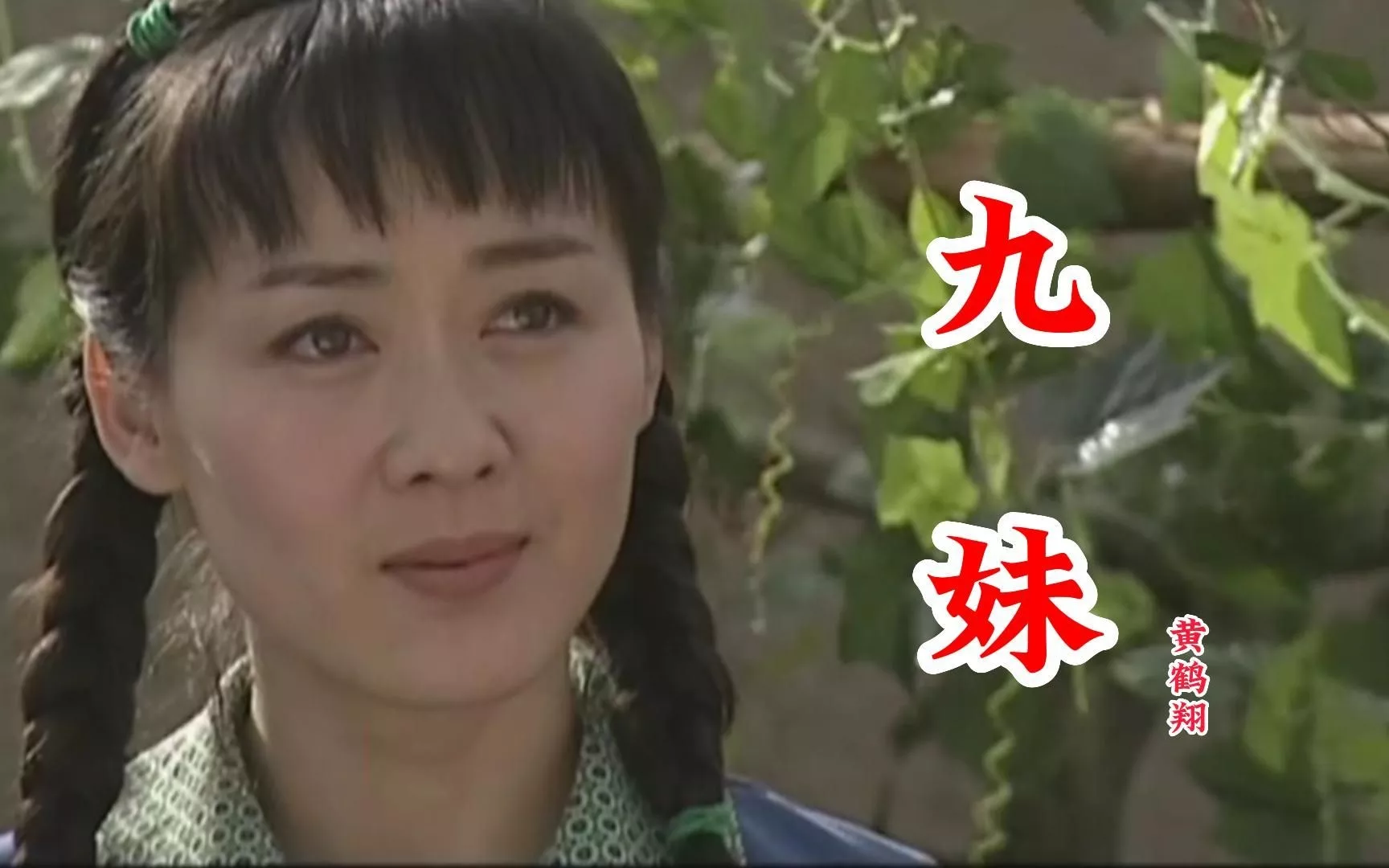 乐坛的“四大村花”指的是哪几首歌曲