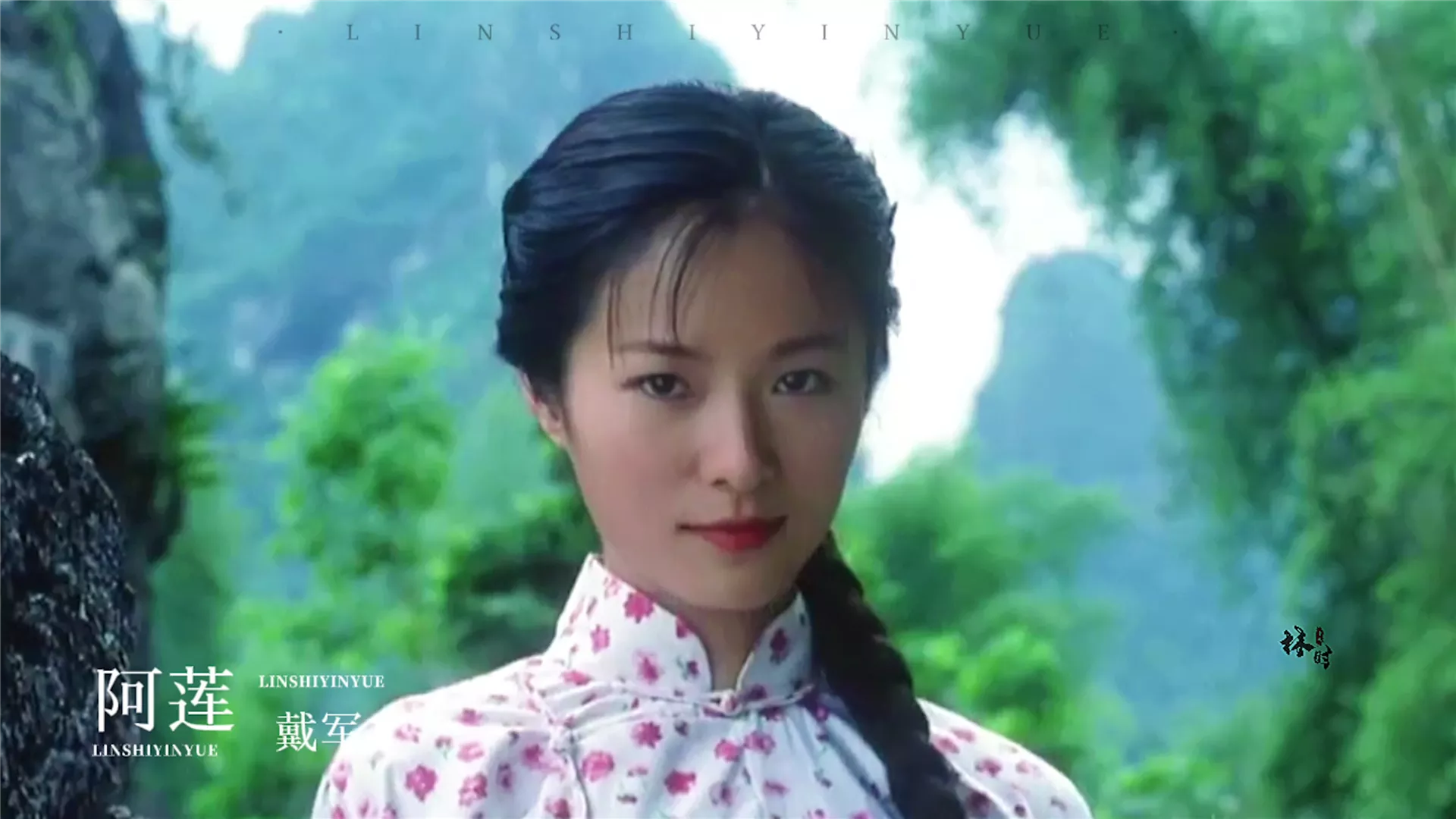 乐坛的“四大村花”指的是哪几首歌曲