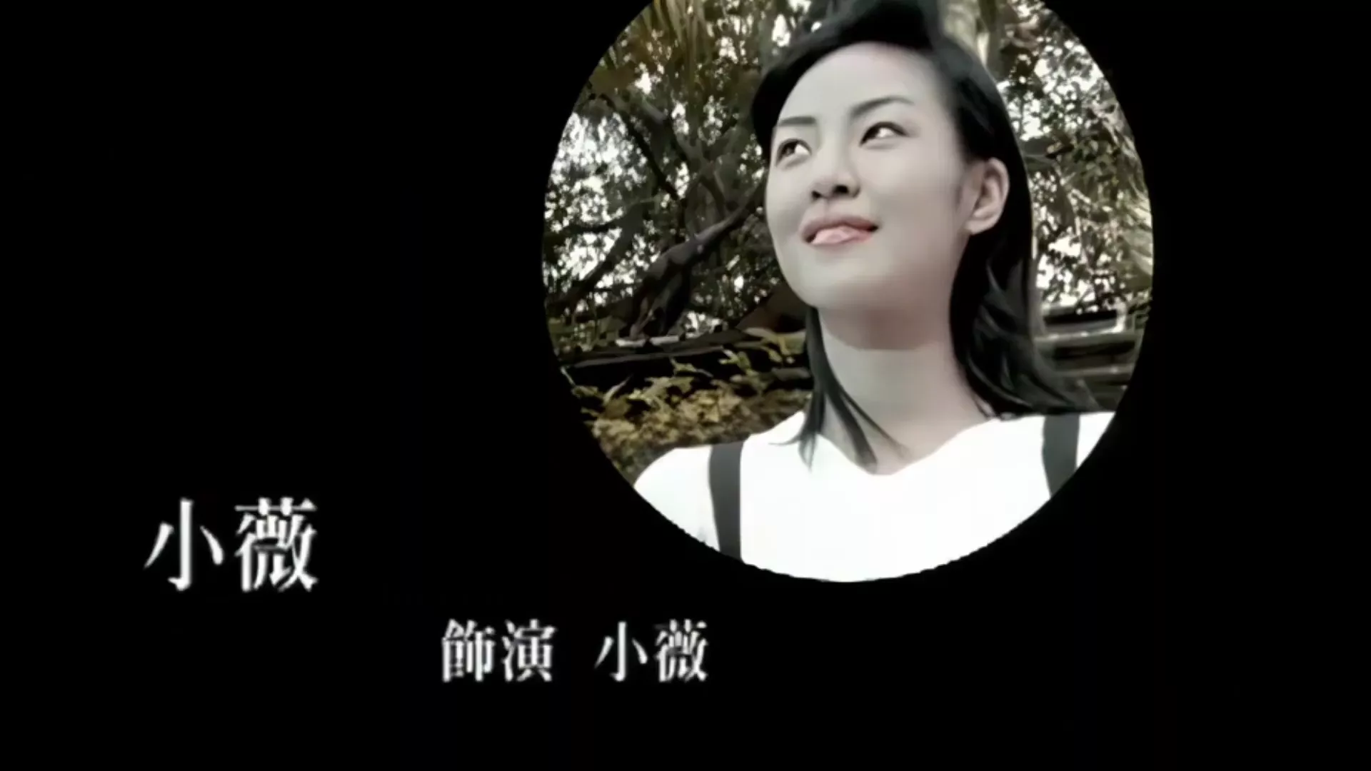 乐坛的“四大村花”指的是哪几首歌曲