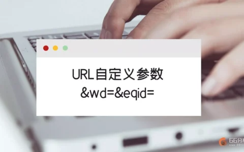 如何解决URL后的自定义参数&wd=&eqid=