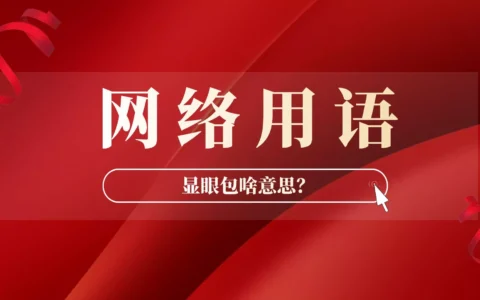 网友说撒贝宁是国家级显眼包，显眼包啥意思？
