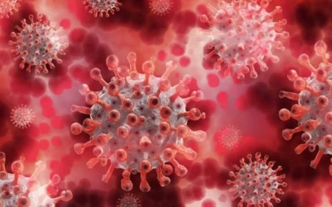 流感和新冠如何区别？看这了解一下