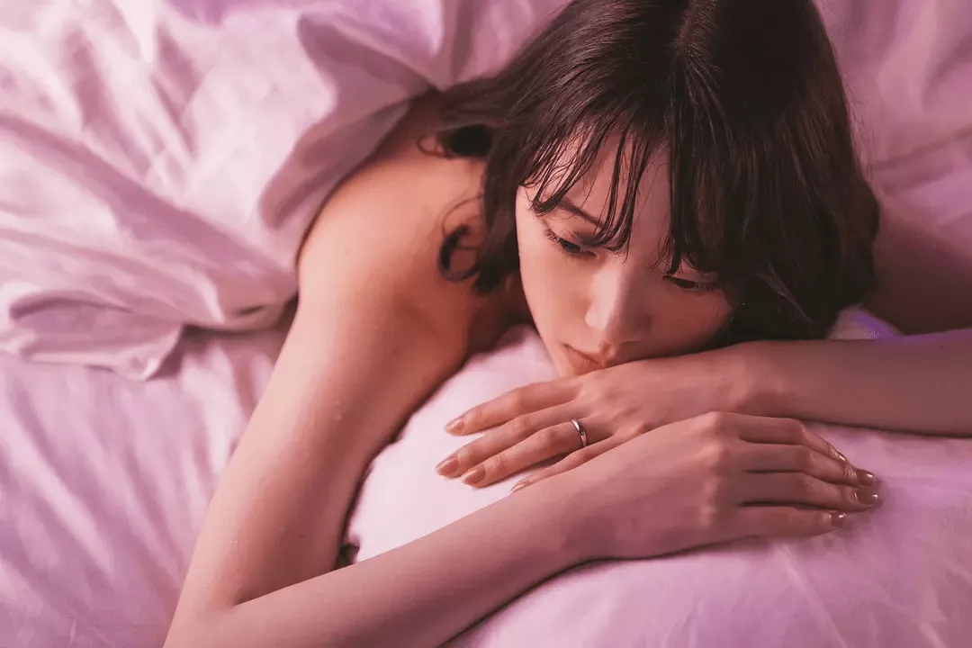 【免费图床分享】WordPress官方镜像图床✔️