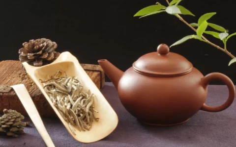 白茶是属于什么茶类？白茶的功效与作用
