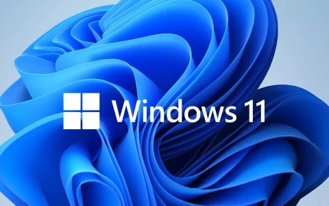 Windows11激活：Windows11激活秘钥_Win11激活码