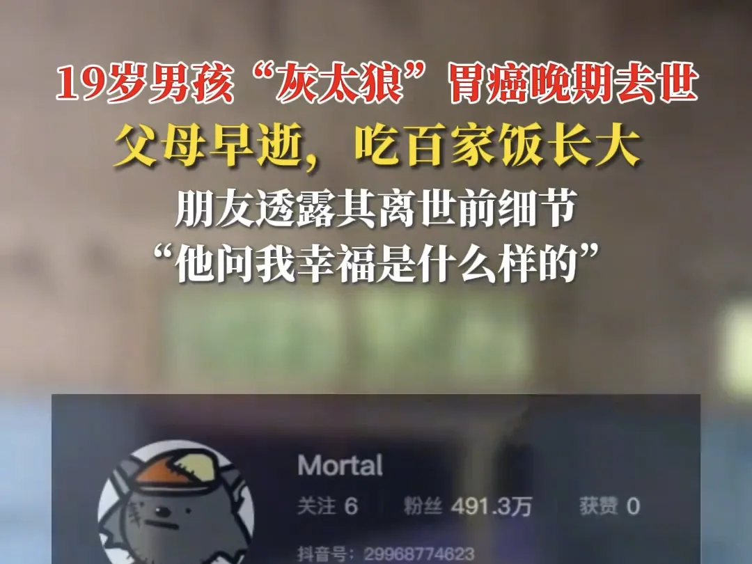 今日热搜：生命的叹惋！网红灰太狼去世