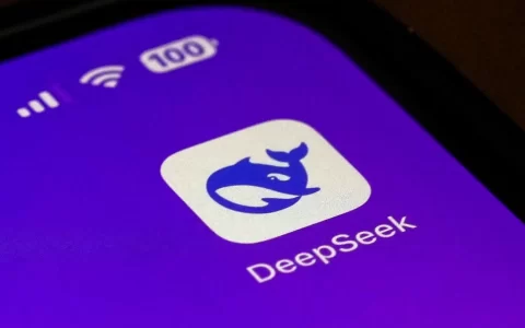 DeepSeek接入全解析：智能应用新浪潮