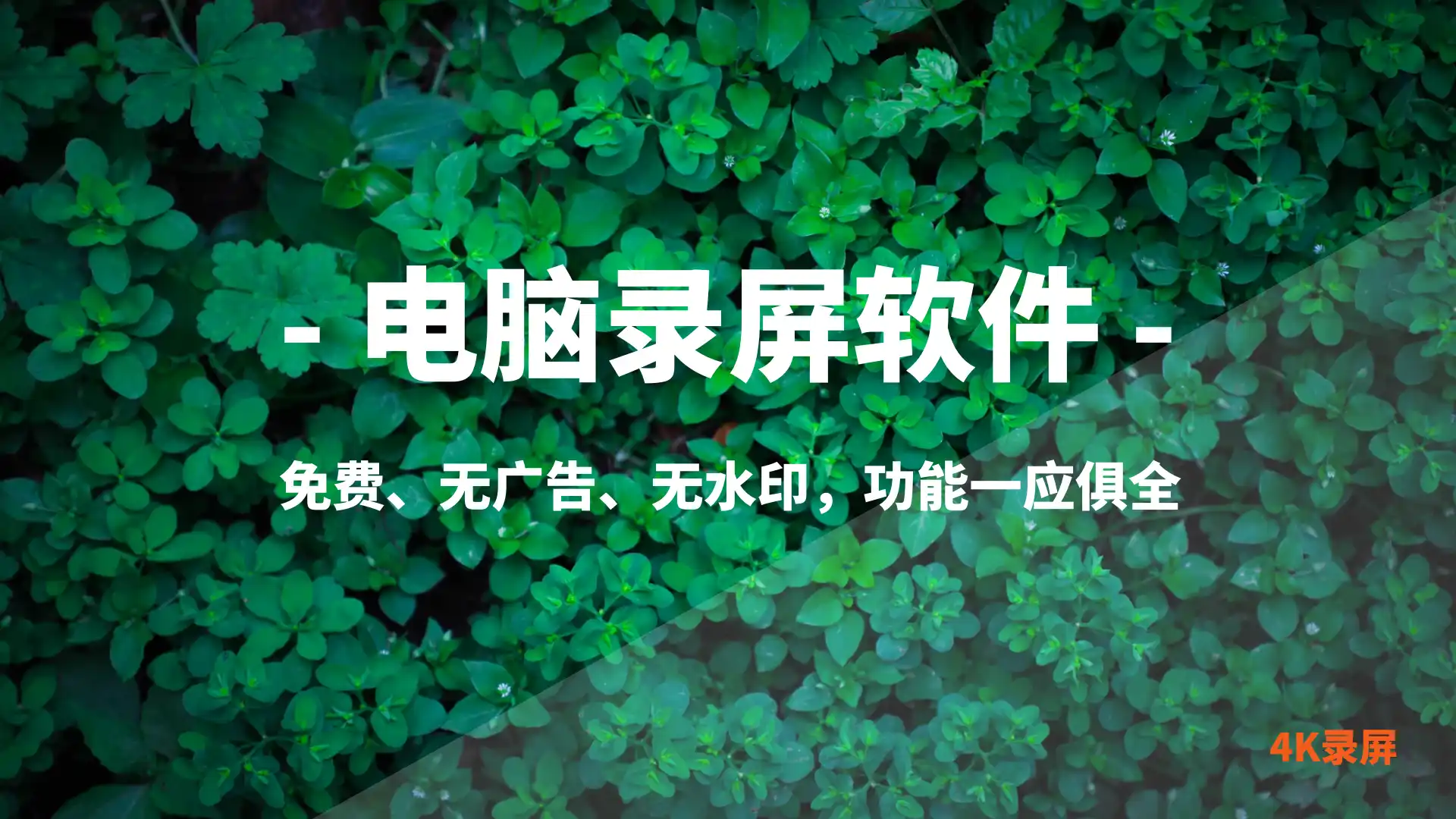 电脑录屏神器，软件完全免费，支持4K录屏