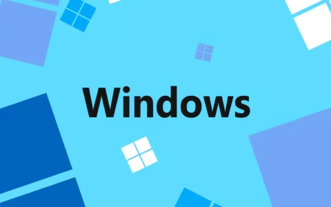 微软原版系统下载工具，极速直连微软下载系统