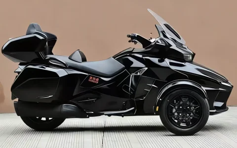 想玩倒三轮？国产新车：650cc+AMT+TCS