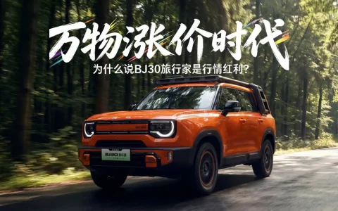 月销8030台，登顶十万级方盒子销冠！BJ30旅行家真香